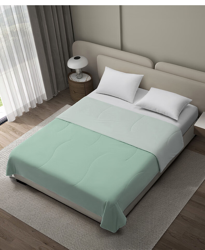 Hilton Air Conditioning Quilt Summer Cooling Quilt Core Class A Washable Tencel Quilt Qinxilv 200*230cm 3
