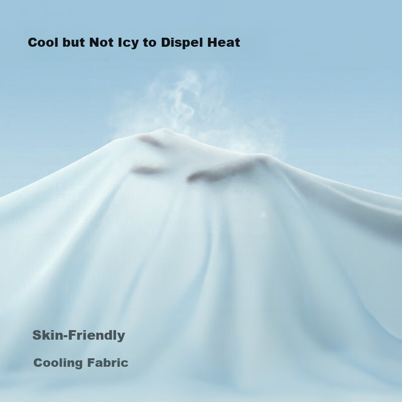 Huishui Huhu Cooling Pillowcase A-Class Antibacterial Mite-Resistant Summer Pair 48*74cm Ice Silk Breathable Solid Color Pillowcases