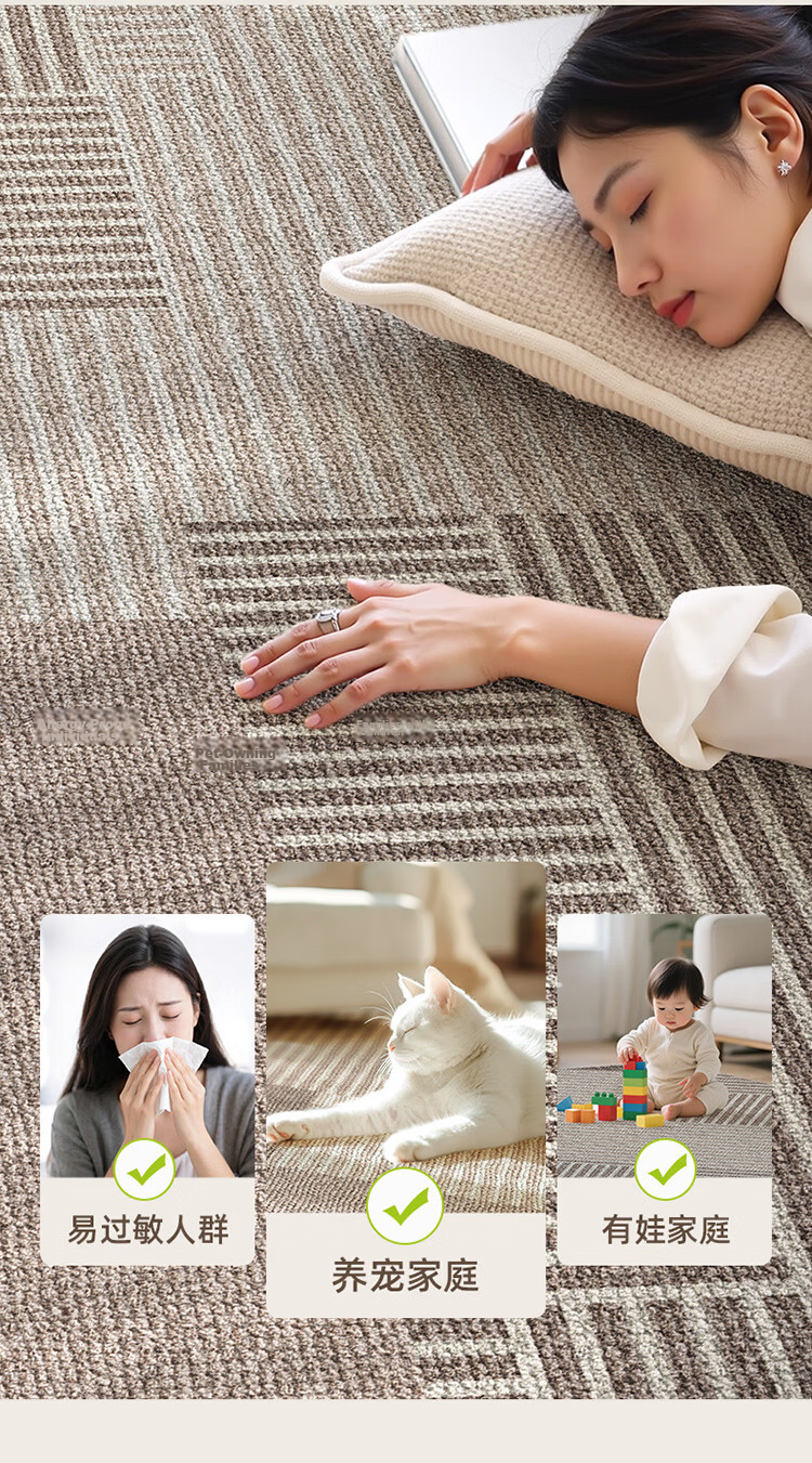 STIMANNI CITY·MANNI Modern Minimalist Entryway Door Mat Indoor Home Protective Dirt-Resistant Thickened Plush Carpet 15