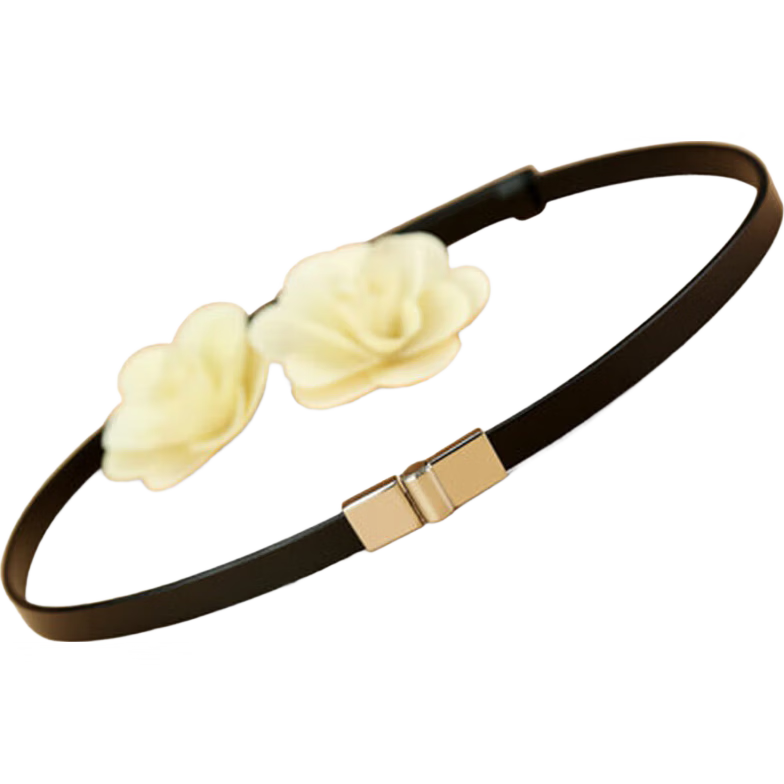 Viney Women's Genuine Leather Belt Simple Versatile Luxury Slim Fashion Decorative Waistband Skirt Belt Birthday Gift
