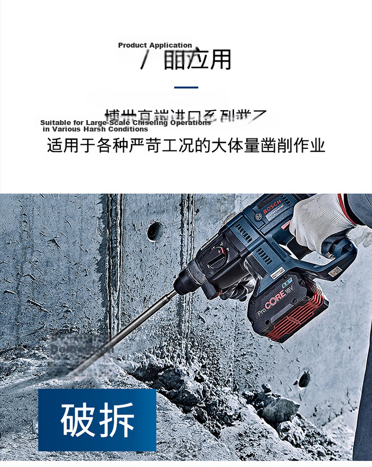 BOSCH Four-Groove Pointed Chisel with Round Handle, Two-Groove Two-Slot Concrete Drill for Demolition and Grooving (1 Piece) 250mm 5