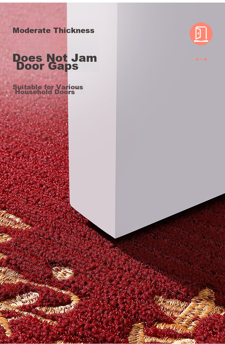 Boneng Safe Entry And Exit Doormat, High-End Entrance Mat, 2026 New Style Foot Mat, Doorway Entrance Mat, 60x90cm 10