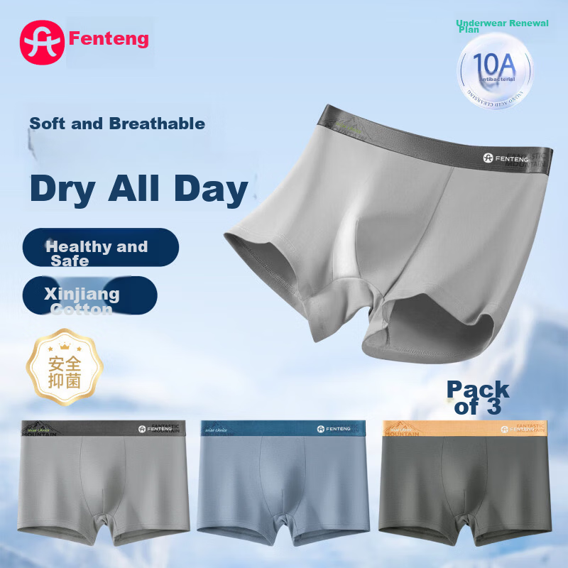 Fenteng Xinjiang Cotton Men's Underwear Father's Day Gift 10A Antibacterial Boxer Briefs 3-Pack - Size L