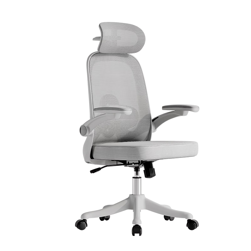 Deli KF276 Ergonomic Chair Student Desk Chair Home Office Chair Upgraded 4-Way Lumbar Support 4D Headrest Gray