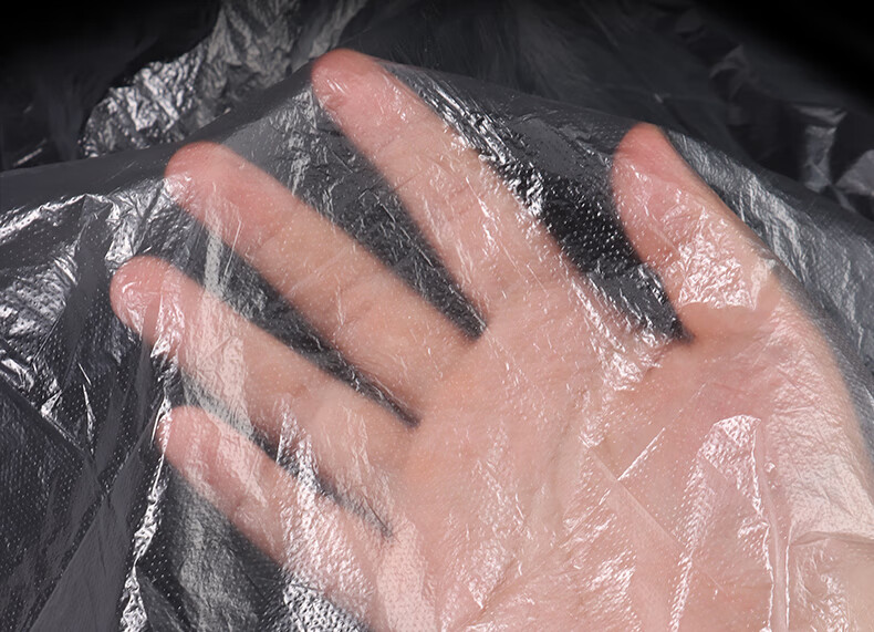 BJ Disposable Gloves Individually Wrapped Thickened Takeout Crayfish Catering Food Grade PE Plastic 200 Small Packs 13