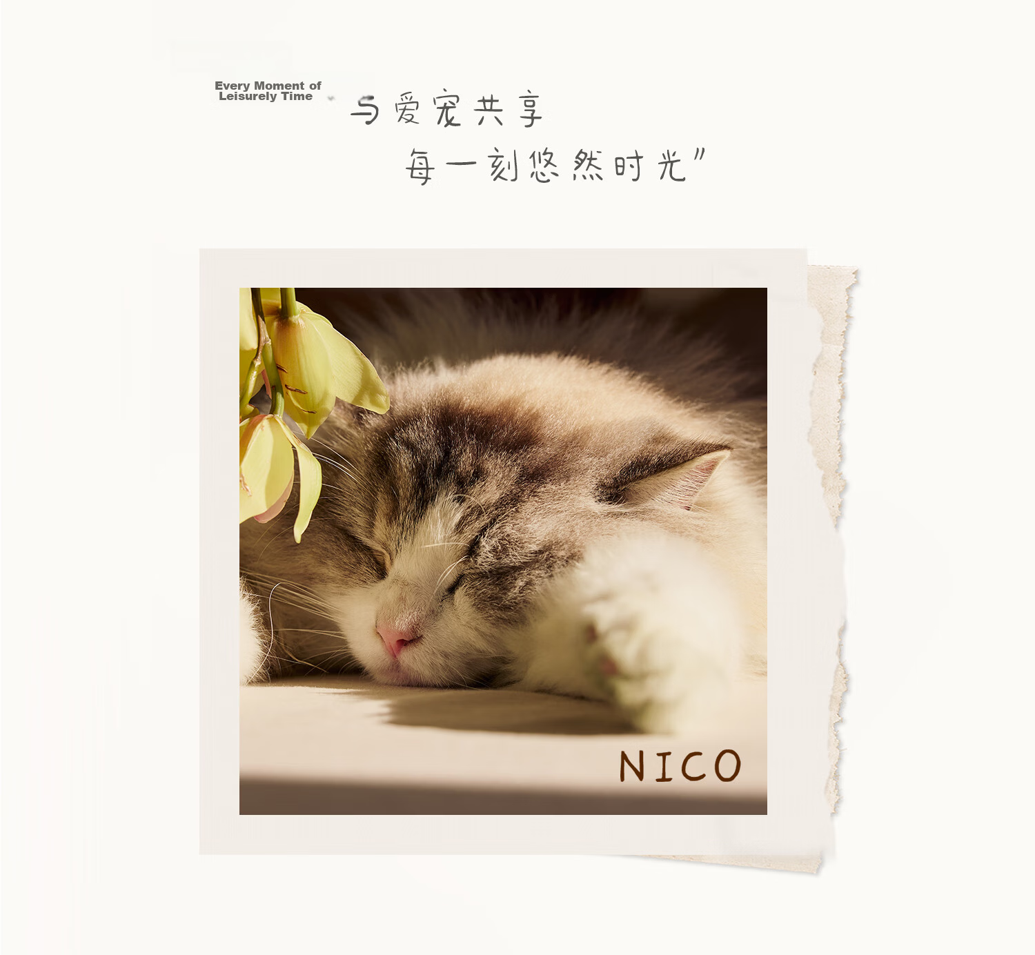 Siggi Women's Summer Sun Hat Straw Hat Wide Brim Foldable UV Protection Face Slimming Versatile Travel Sun Hat 3