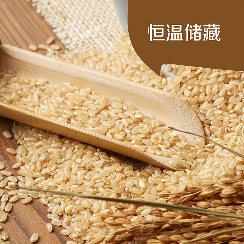 初萃中粮 糙米2斤 五谷杂粮 大米伴侣 粗粮主食 罐装