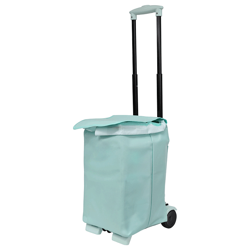 SELORSS Folding Shopping Cart, Hand-Pushed Trolley, Small Trailer, Pull Rod Cart, Grocery Cart, BY07 Fresh Green with Bag