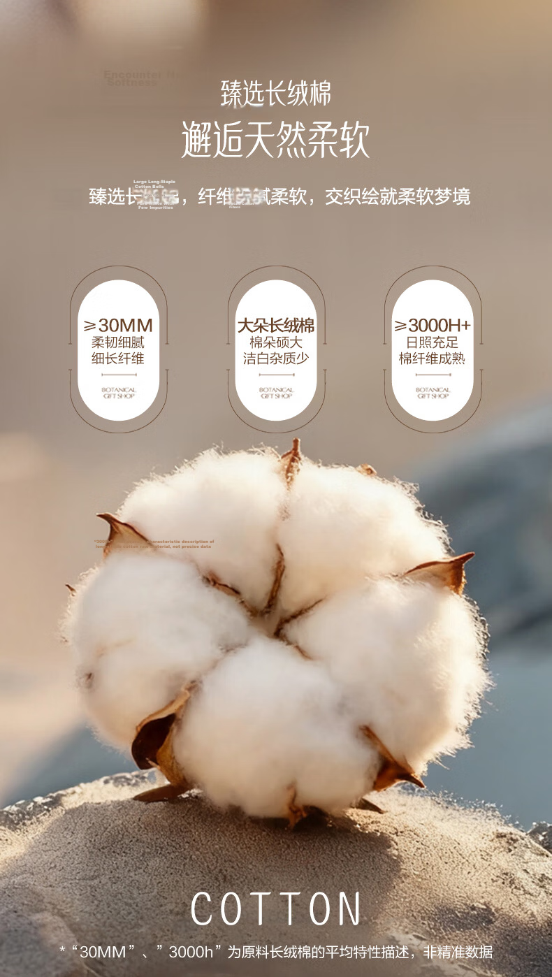 Fuanna Pure Cotton Bed Sheet 100s Double-Strand Long-Staple Cotton Sateen Bedspread Double Bed Sheet 1.8x2m 3