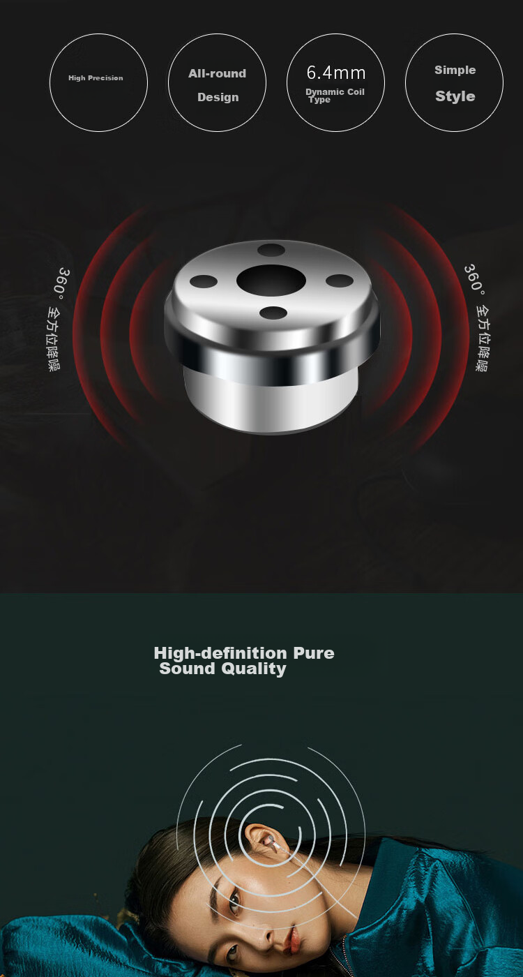 FINAL E5000 Dynamic In-Ear Headphones, Dynamic Earphones, HIFI Earphones, Replaceable Cable, Stainless Steel Shell, Silver Color 1