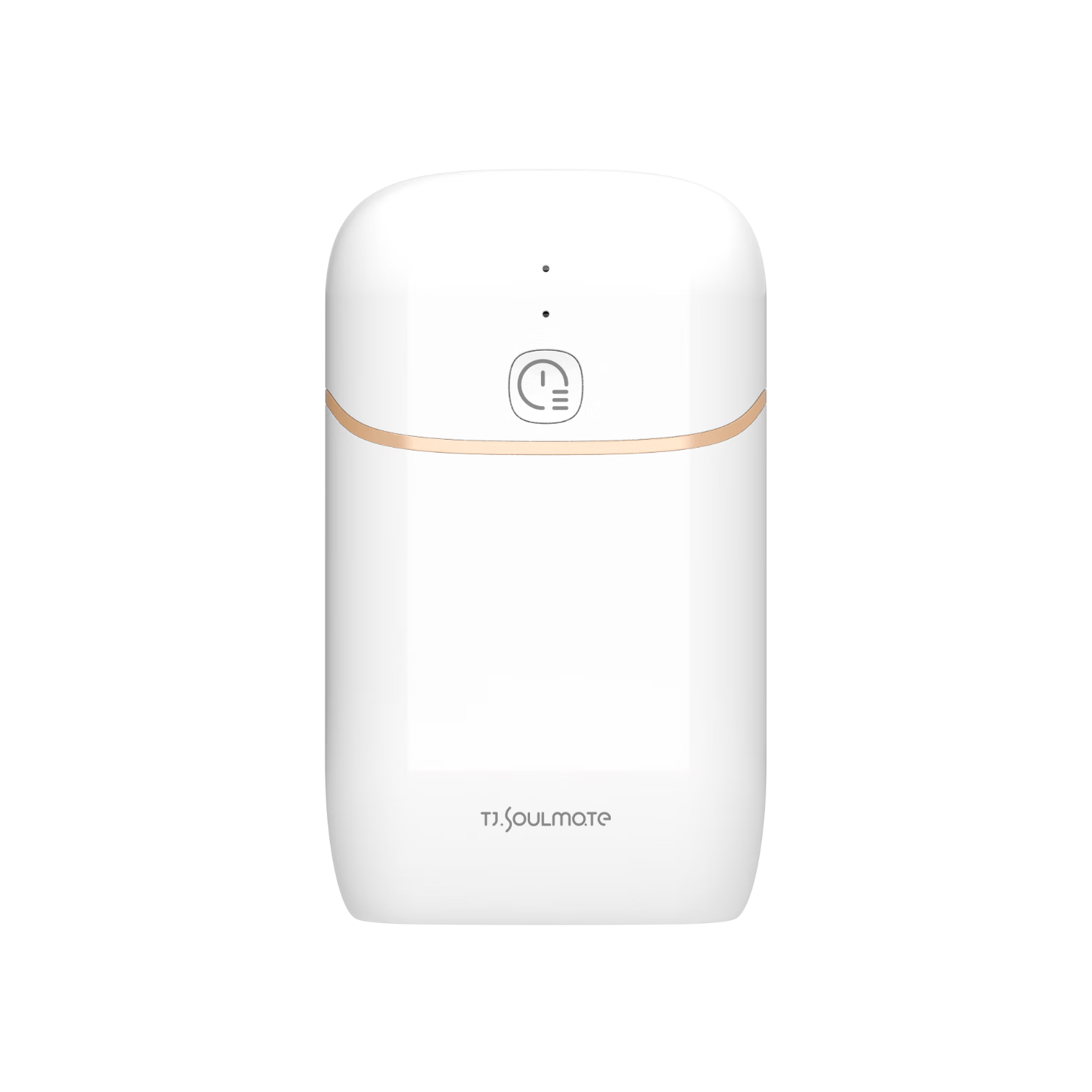 Tianjun Portable Clothes Dryer Home Small Travel Business Trip Dormitory Mini Silent Dryer Deep Sterilization Mite Removal Purification Baby Clothes Underwear Dryer Moonlight White