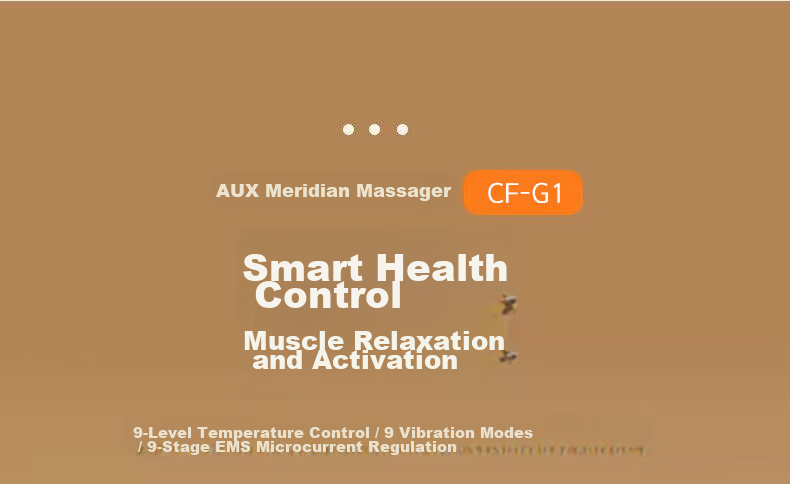 AUX Head Massager Meridian Therapy CF-G1 Meridian Comb Gift Box Electric Full Body Meridian Brush for Head Waist Shoulder Leg Neck Abdomen Massager Abdominal Kneading Device 520 Gift 3