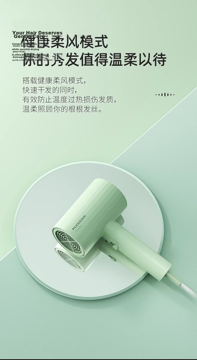 Flyco FH6296 Home Hair Dryer Powerful Wind Hair Care Quick Drying Portable Travel Gift Birthday Holiday Present 5
