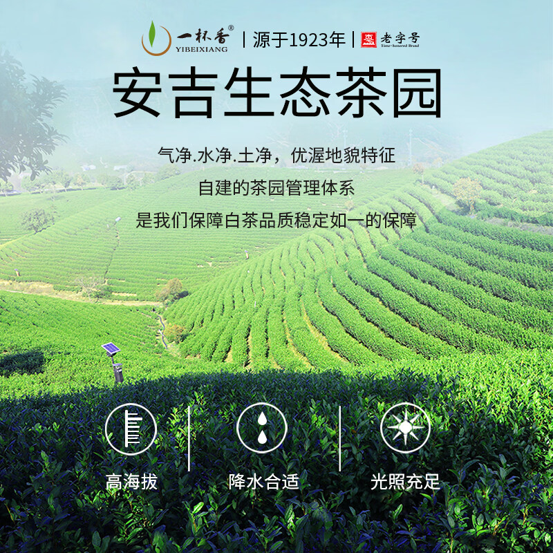 一杯香茶叶绿茶明前安吉正宗白茶200g2026新茶春茶礼盒装自己喝散装茗茶