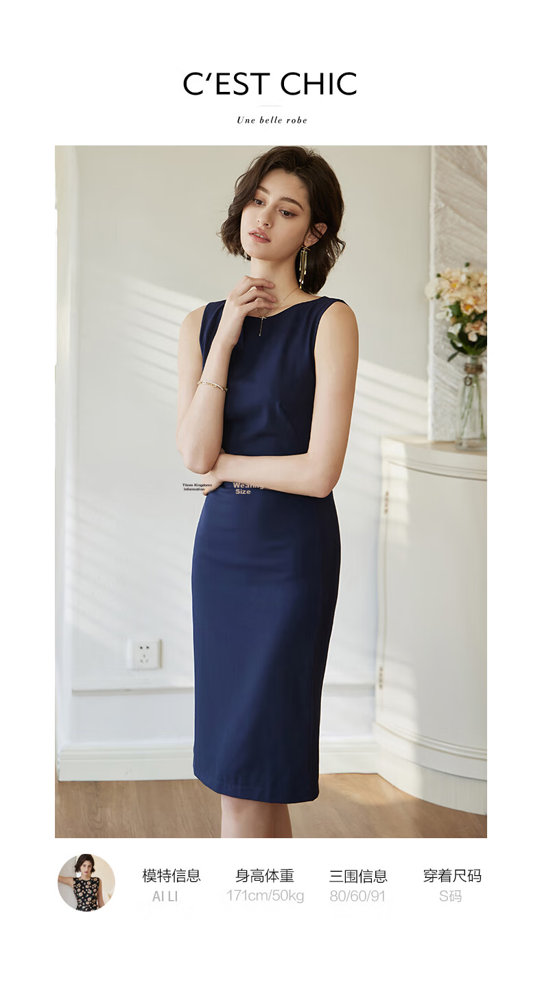 ROEYSHOUSE Women's Sleeveless Slim Fit Dress Summer Elegant Commuter Mid-Length Dress 08879 Dark Gray L 14
