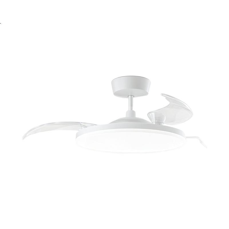 White Image 2