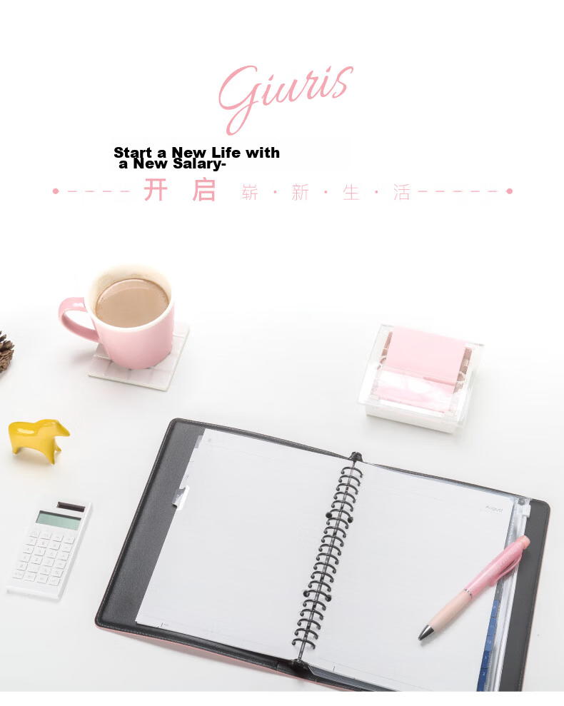 MARUMAN Loose-Leaf Notebook PU Cover Pink F290 14