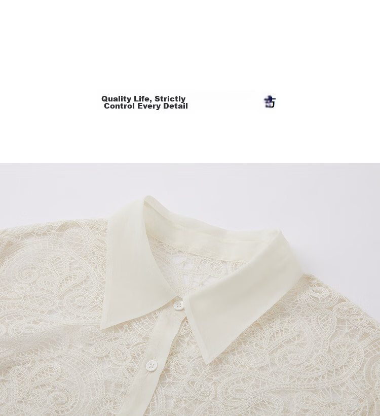 Demana [Cloud Oxygen Cotton Blend] Spring Elegant Lace Hollow Splicing Lapel Loose Petite Women's Shirt 12