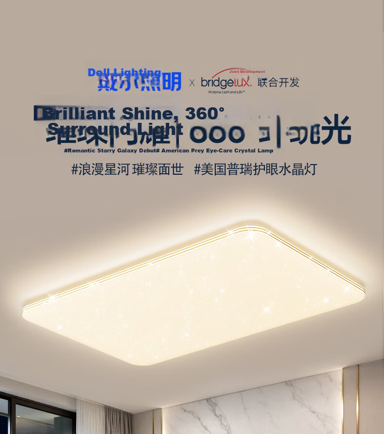 Daier LED Ceiling Light, Modern And Simple Design, Eye-Protecting, for Study Room And Bedroom, Zhongshan Lighting Fixture, Starry Sky Style, Luxury Design, Installation Included 1