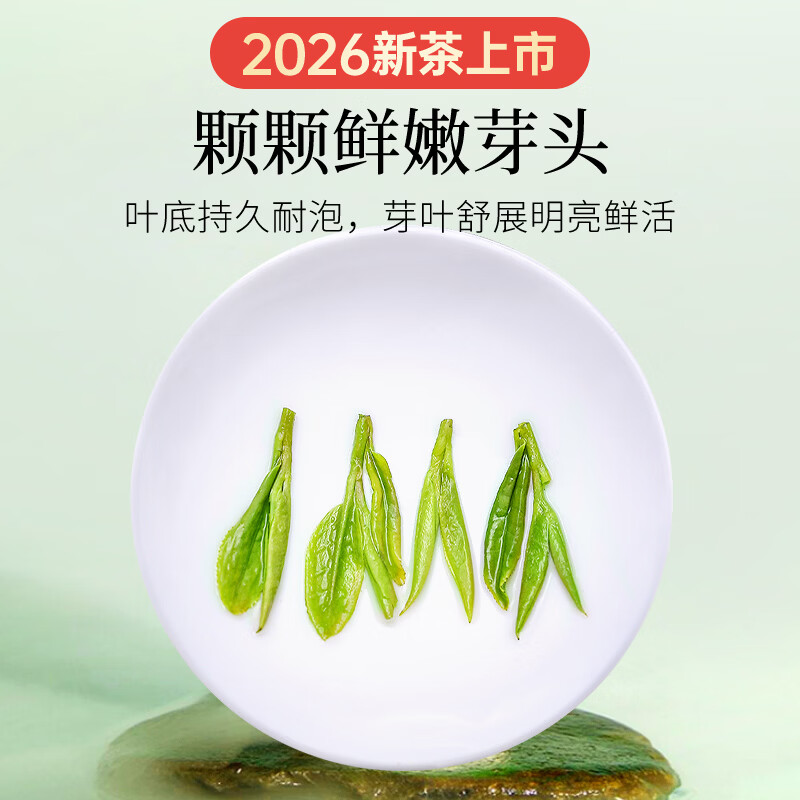 贡苑绿茶正宗龙井茶豆香250g 2026新茶明前浙江春嫩芽散装茶叶自己喝