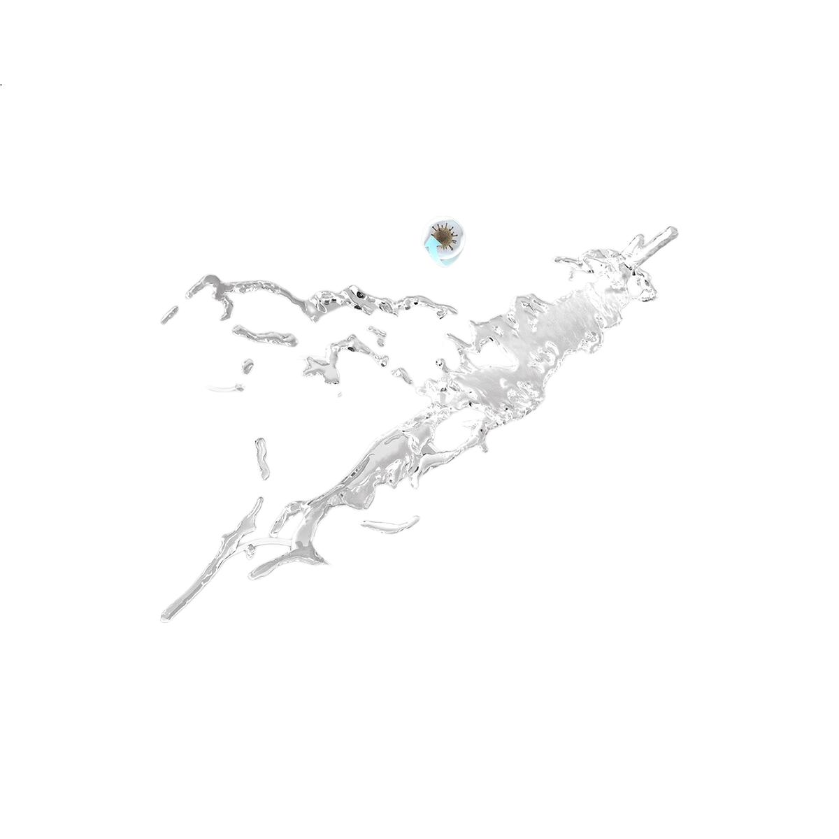 White Image 3