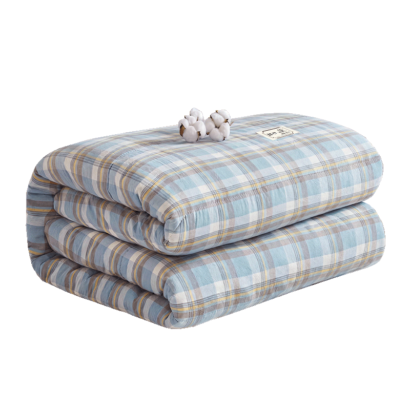 Hongdou Class A Antibacterial Xinjiang Cotton Quilt Air Conditioning Quilt Summer Cool Quilt Spring and Autumn Cotton Four Seasons Quilt Core 2*2.3m 4 Jin Qianmo