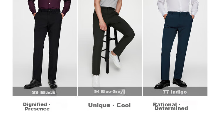 G2000 Comfortable Draped Soft Business Commuter Men's Dress Pants for All Seasons 25
