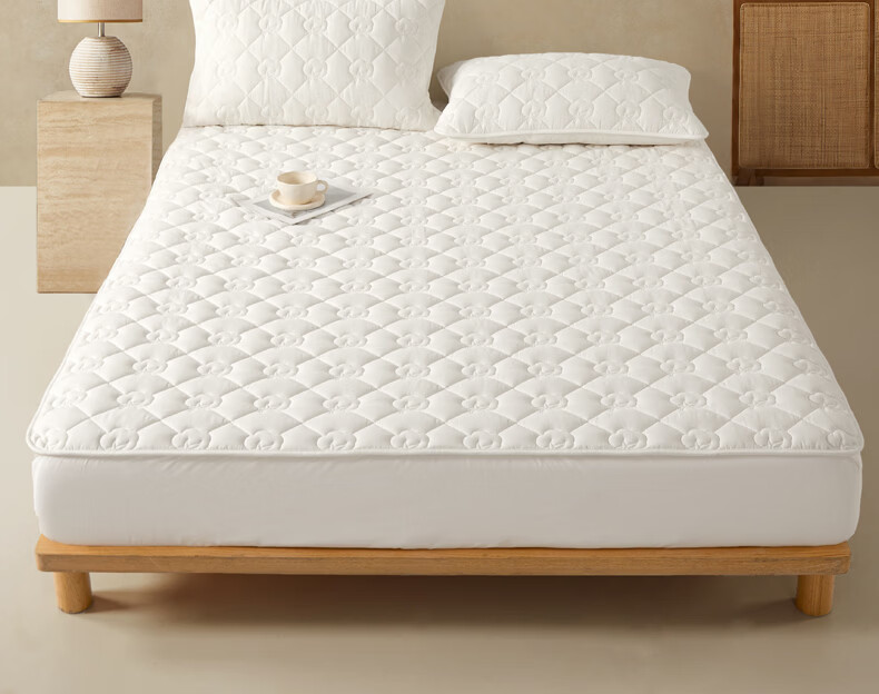 Boyang Home Textile 100% Xinjiang Cotton Mattress Pad Quilt All Cotton Washable Mattress Cover Shaojin Fitted Sheet Style 180*200cm 2