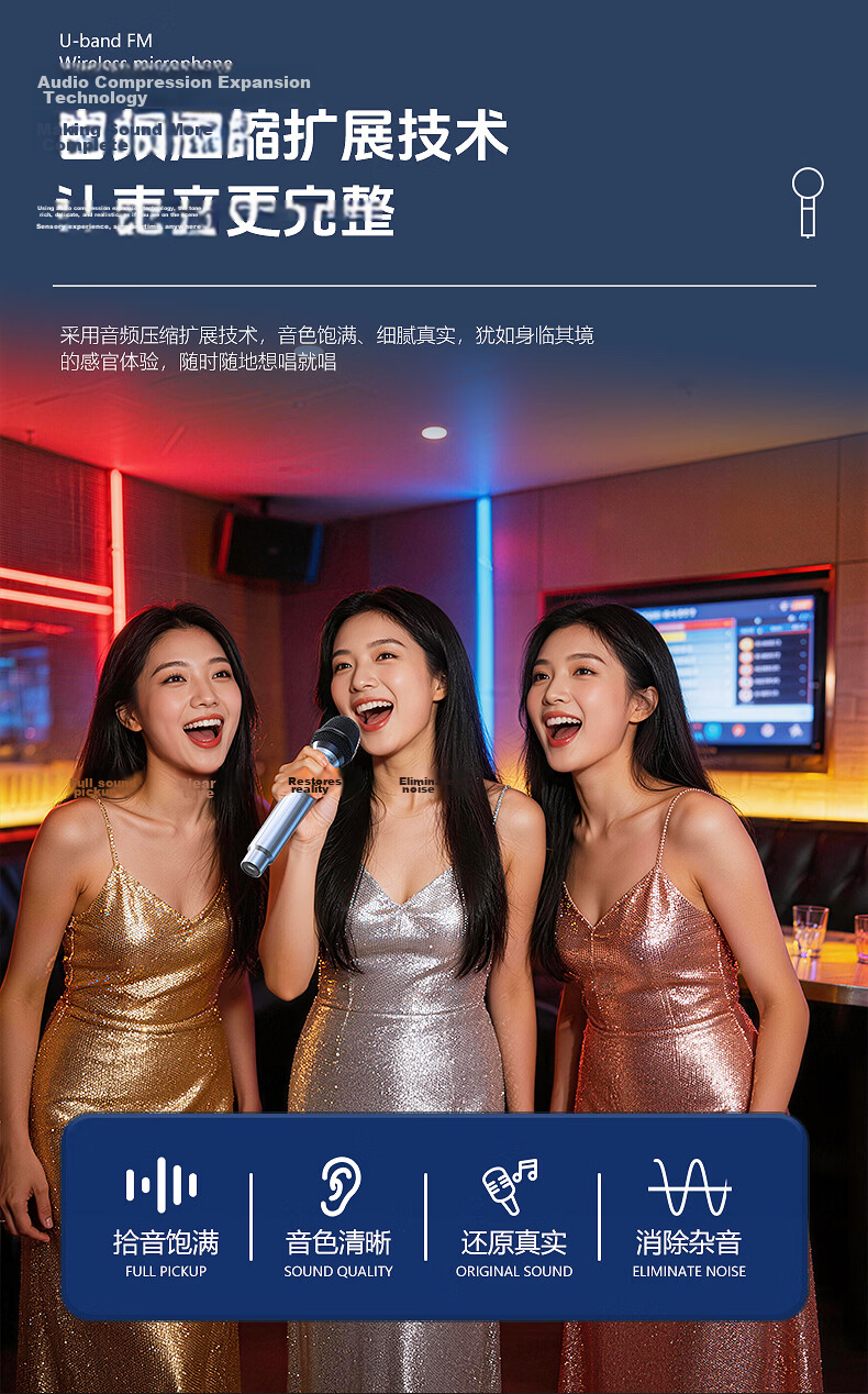 SANSUI Wireless Microphone Professional UHF Karaoke Conference Host Live Outdoor Square Dance Handheld Portable Performance Home KTV Singing Microphone SK09 Single Mic 7