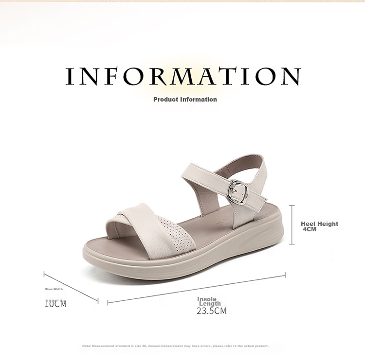 Red Dragonfly Women's Sandals New Soft Sole Mom Shoes Wear-Resistant Middle-Aged and Elderly One-Strap Beach Sandals WTK264812 Apricot Color Size 37 6