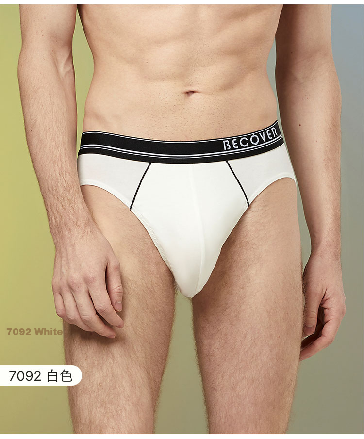 Schiesser Men's Briefs Combed Cotton Becover Series Breathable Mid-Rise Solid Color 2-Pack 16