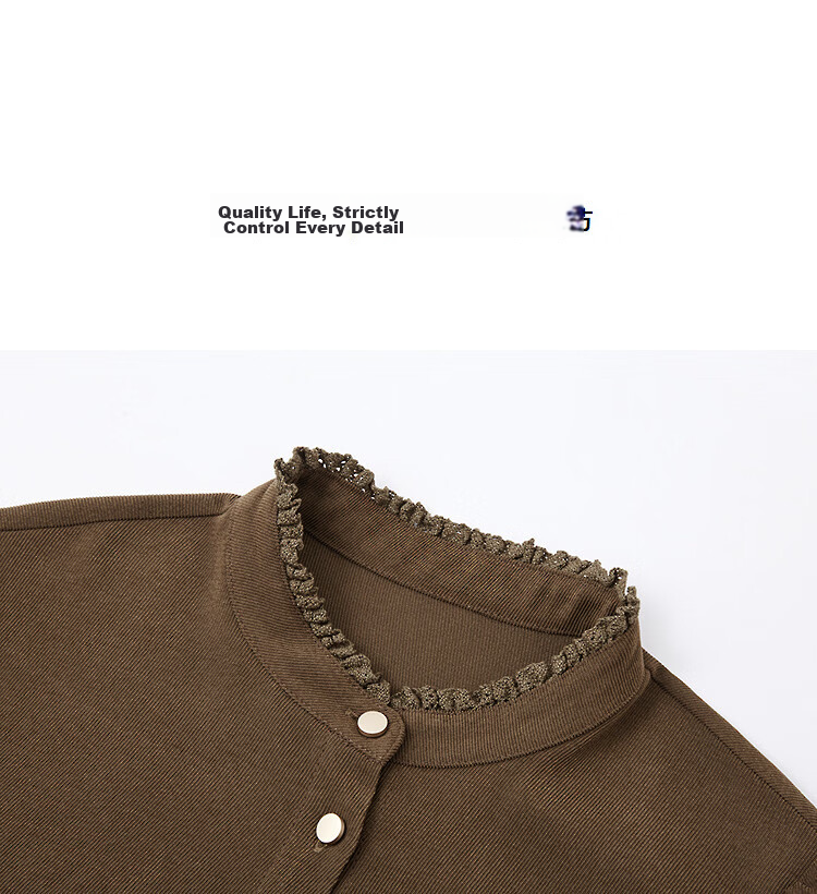 Demana [Cheese Fleece] Winter Warm Slim Fit Shirt Commuter Stand Collar Lace Decor Puff Sleeve Blouse for Women 12