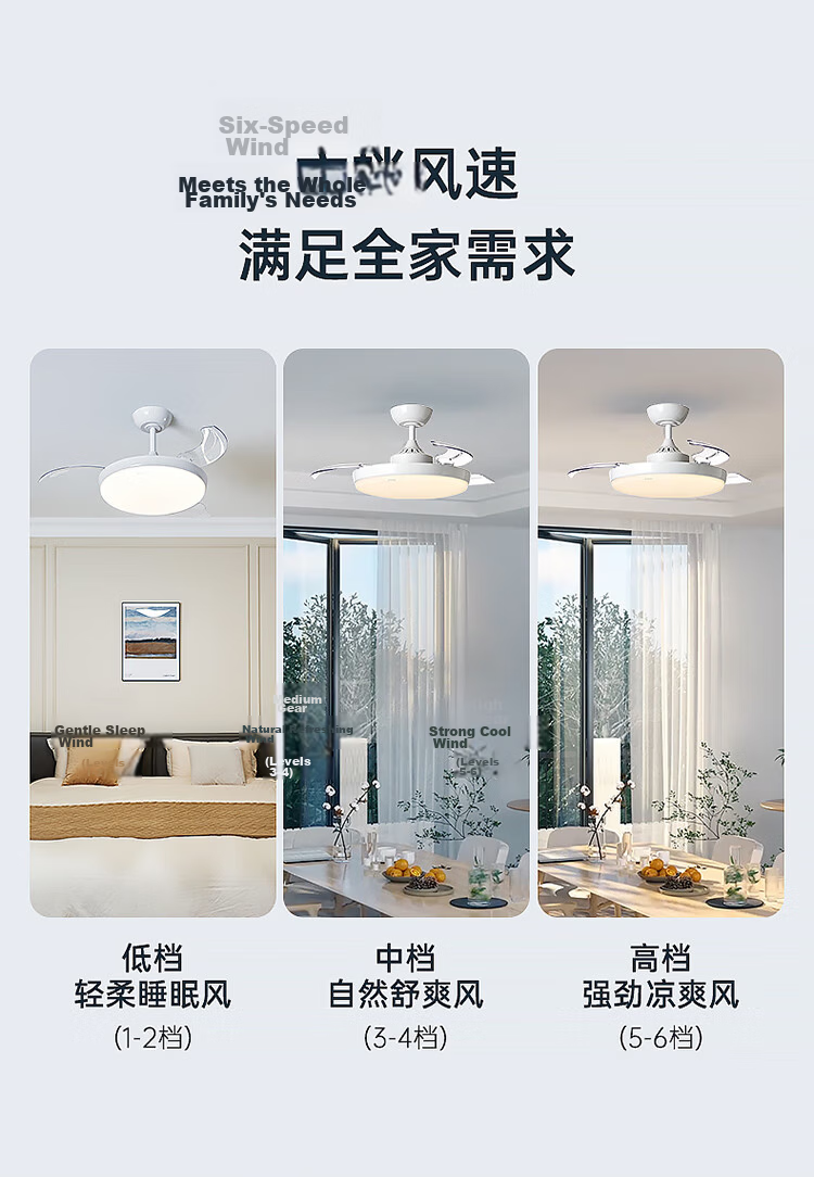 Paulmann P German Paulmann Invisible Fan Light Full Spectrum Eye Protection Ceiling Fan Light Living Room Dining Room Bedroom Silent Remote Control Light 24