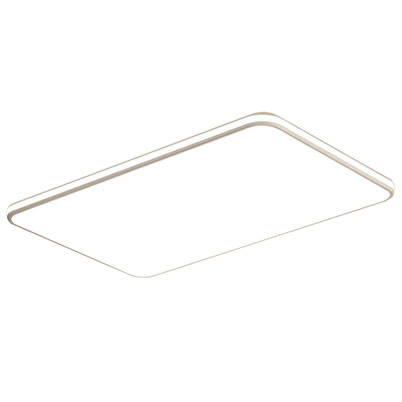 Jiaojiaozhe Living Room Ceiling Light Modern Minimalist Ultra-thin Eye Protection LED Cream Style 200W Stepless Dimming
