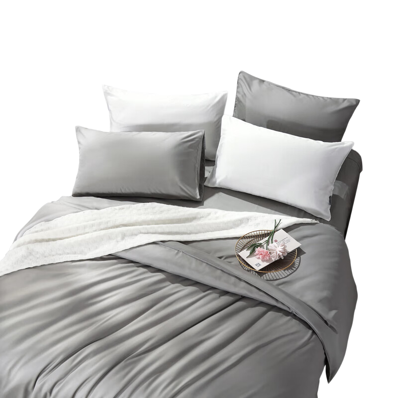 FUANNA Sanzhihua Bedding Set, All-Polyester Double-Sided Brushed Bedding Set, Includes Bed Sheet And Duvet Cover, 230*229cm, Gray