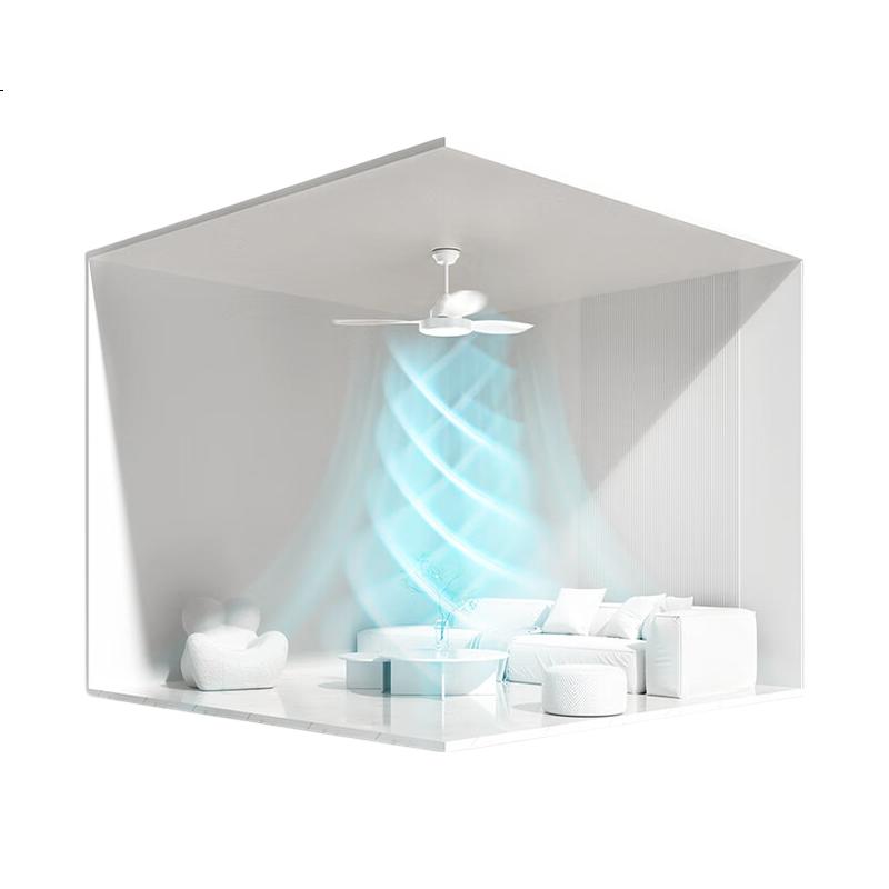White Image 3