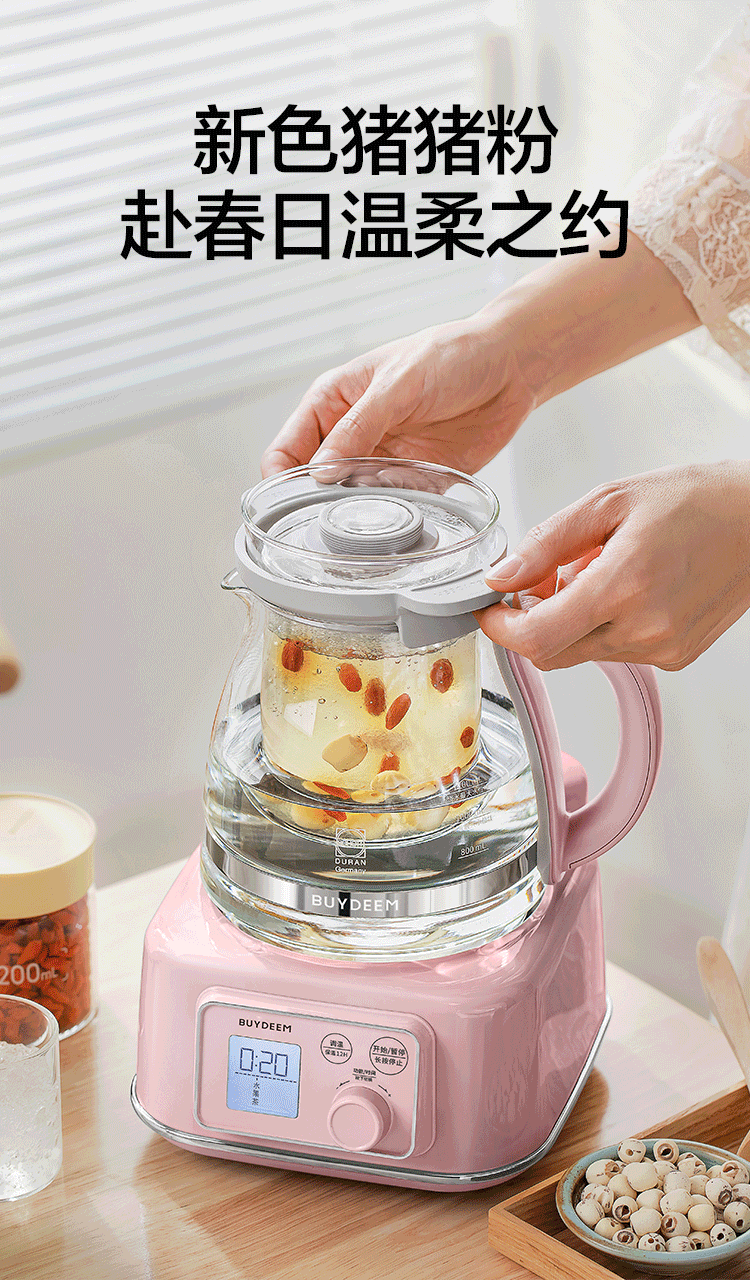Buydeem FK571 Health Pot Stew Cooker Price Protection 618 5