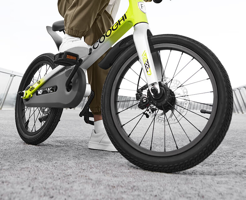 COOGHI Children's Bicycle F1, 20-Inch Magnesium Alloy Lightweight Shock-Absorbing Inflatable Tire, for Beginners Aged 6-15, COOGHI Gree 10