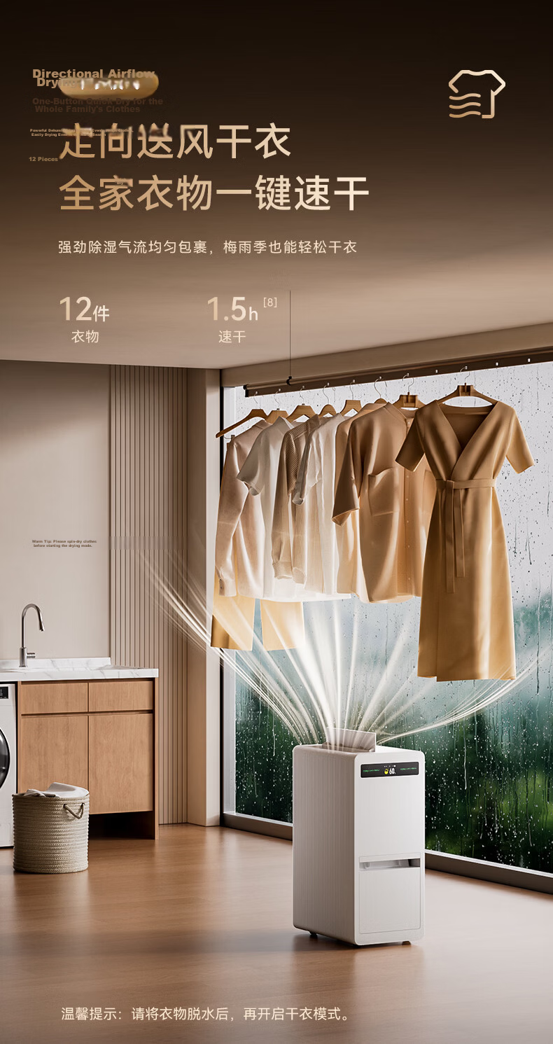 Deye Dual Inverter Dehumidifier 40L Home Purifier Dehumidification All-in-One Bedroom Basement Moisture-Proof Dryer Quiet Plasma DYD-P40 8