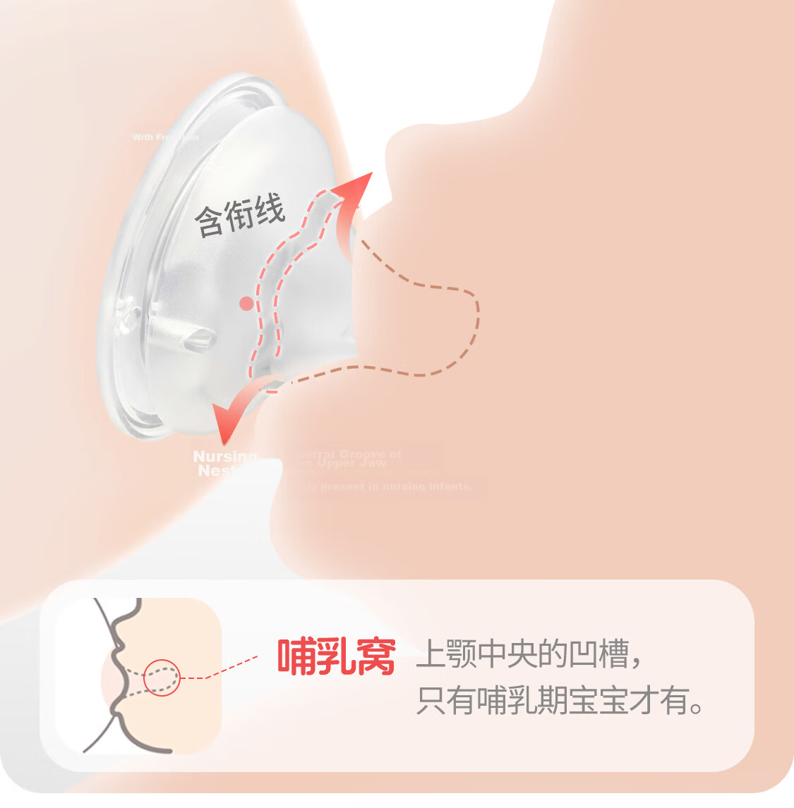 Pigeon PPSU Wide-Neck Double-Handle Bottle, 240ml, M Size Nipple, 3 Months+, AA270 6