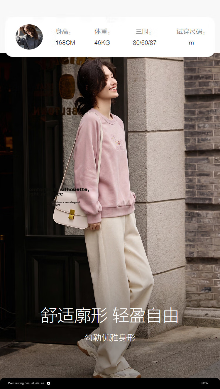 Demana [Cloud Oxygen Cotton Series] Summer Heavywork Pony Embroidery Crew Neck Long Sleeve Slim Fit Petite Sweatshirt for Women Premium Feel 14