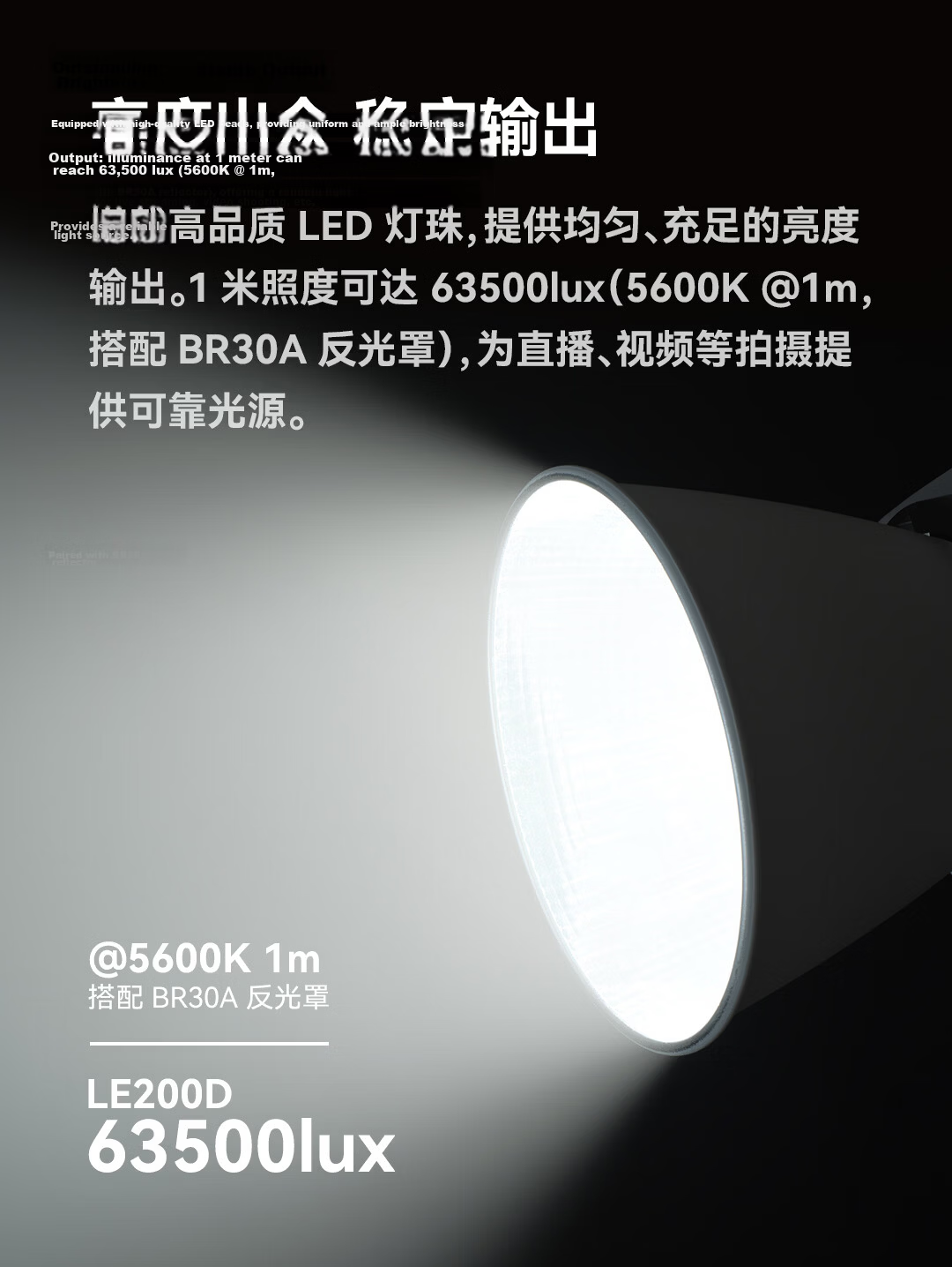 Godox LE200D Professional Live Streaming LED Fill Light Beauty Light Photography Indoor Anchor Studio Single Color Temperature Photography Video Continuous Light [Black Version] 5