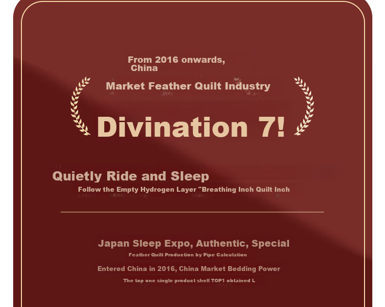 Interlagos Ergonomic 95% White Goose Down Comforter, Japanese Imported Duvet Insert, 700g Winter Quilt, 150*200cm 31
