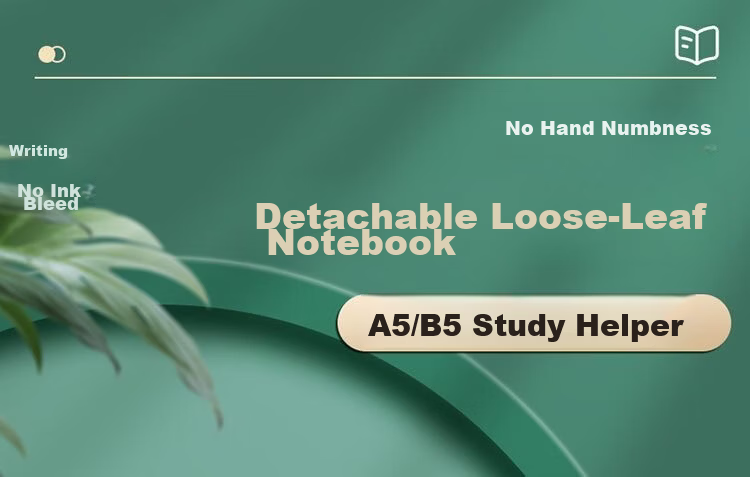 Wengu B5 Notebook Handwritten Loose-Leaf Book 40 Sheets Journal Diary for Middle School, High School, University Students, Detachable Office Business Meeting Supplies SK030-1 (B5) Lined Version 2