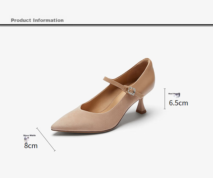 Le Saunda 2026 Spring New Women's Pointed Toe Lambskin Stiletto Mary Jane Flats 7M64901 Milk Tea Apricot BES36 2