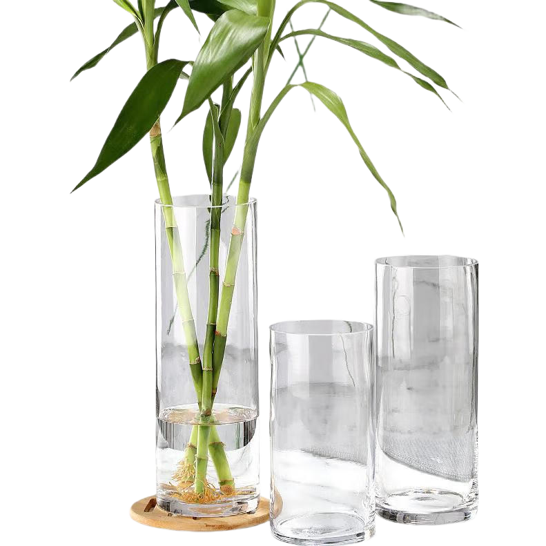 Shengshi Taibao Glass Vase Hydroponic Transparent Plant Flower Arrangement Large Vase Straight Cylinder for Living Room Dining Room Decoration 1030