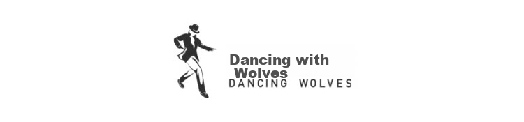 Dance with Wolves [Ice Cool] Exquisite Embroidery 7A Antibacterial 2A Mite-Resistant Ice Feeling Men's Short Sleeve Polo Shirt 001 Black 3XL 2