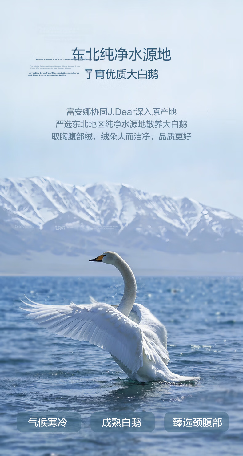FUANNA x JDear JD Collaboration [Li Xiaoran Same Style] 50% White Goose Down Antibacterial Quilt Core 230×229cm 3