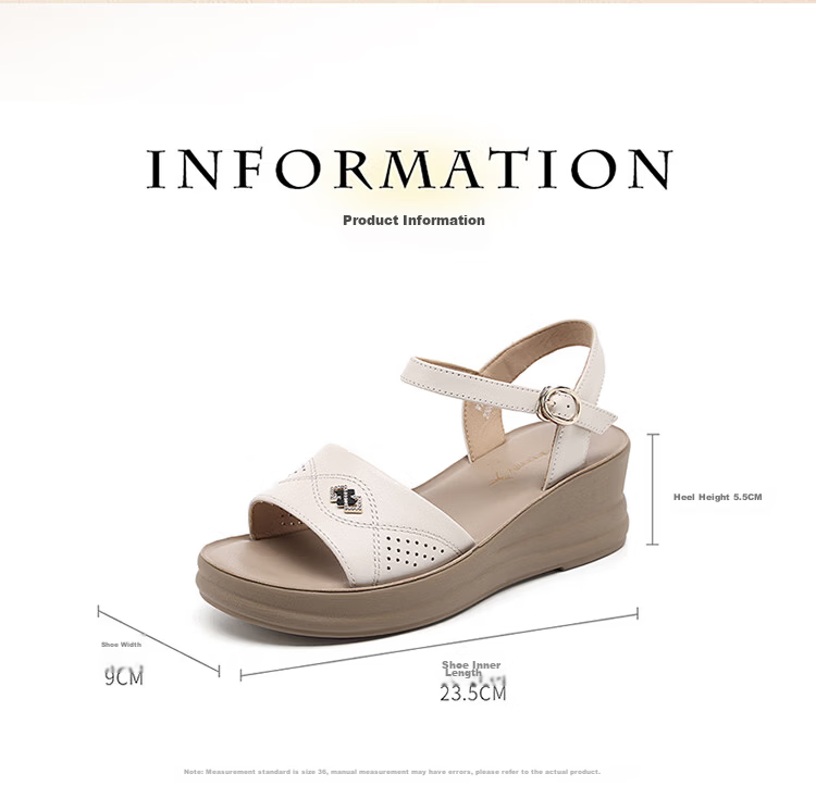 Red Dragonfly Women's Summer Sandals Thick Soft Sole Non-slip Middle-aged and Elderly One-strap Shoes WTK265432 Off-white Size 38 8