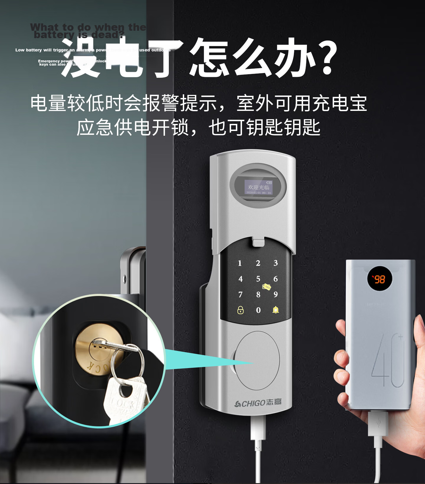 CHIGO Smart Bull Head Lock Old-Style Anti-Theft Door Stainless Steel Rural Courtyard Iron Gate Fingerprint Password Lock Outdoor Waterproof 23